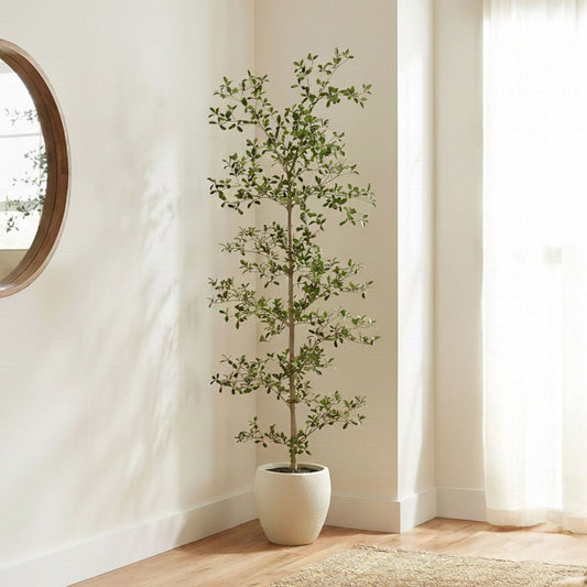 Faux 6.5' Black Olive Tree