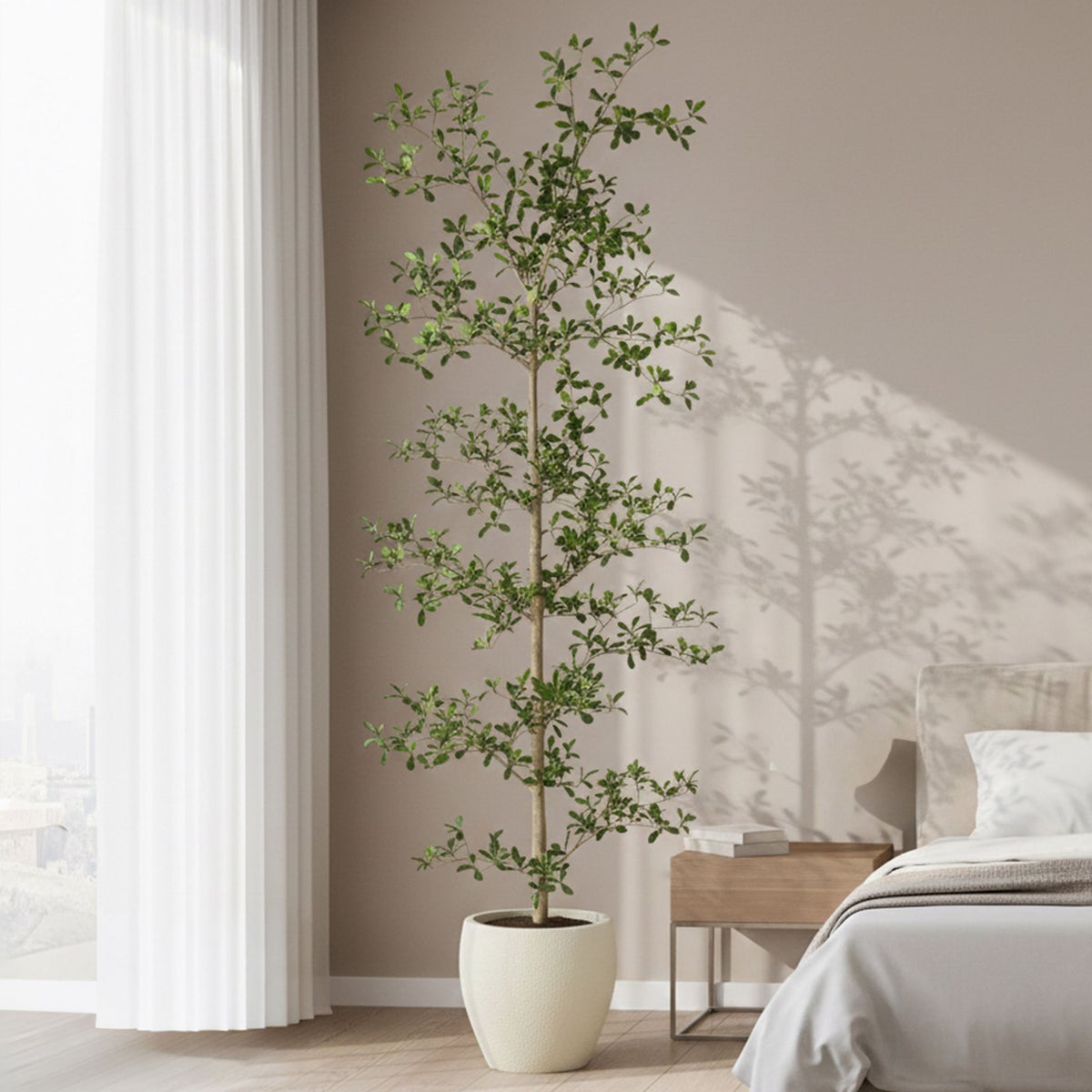 Faux 6.5' Black Olive Tree