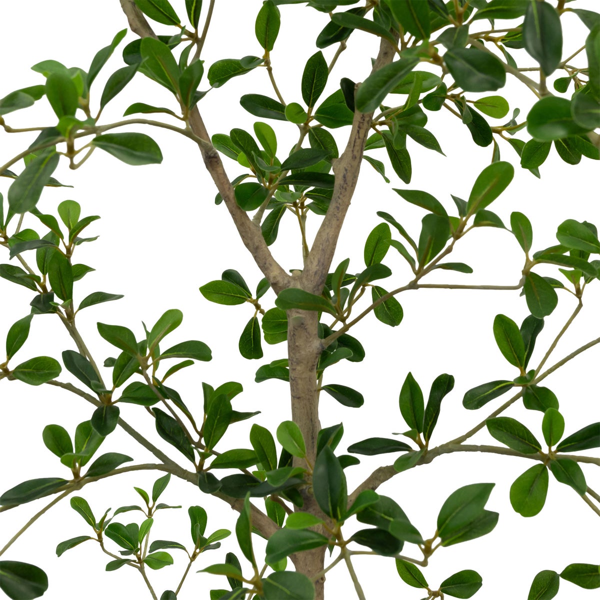 Faux 6.5' Black Olive Tree