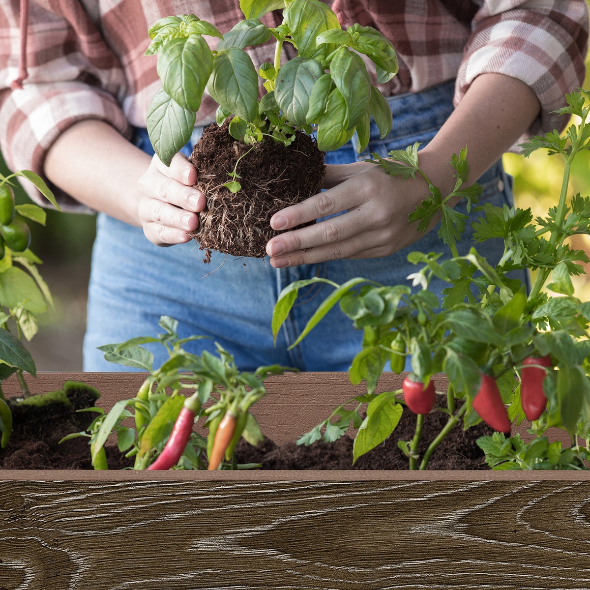 Keter Signature 29 Gallon Rolling Raised Garden Bed with Self Watering