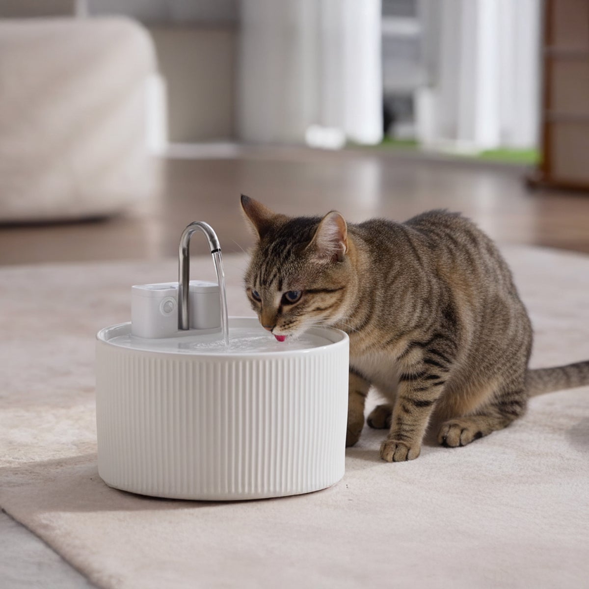 PawsPik Cordless Ceramic Faucet-Style Pet Water Fountain, Bundle
