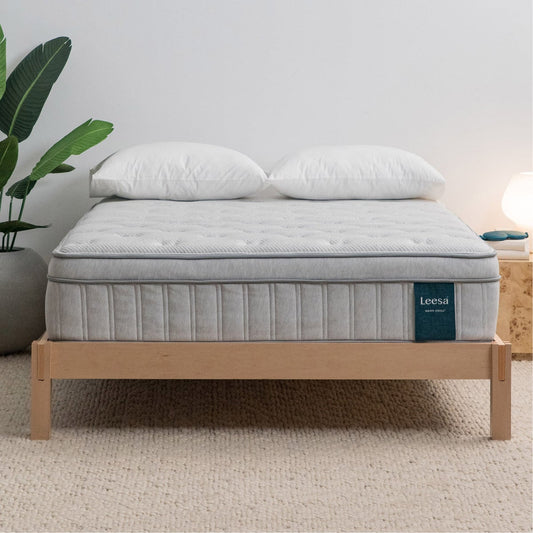 Leesa Oasis Chill 13.5" Euro Top Medium Firm Hybrid Mattress, King