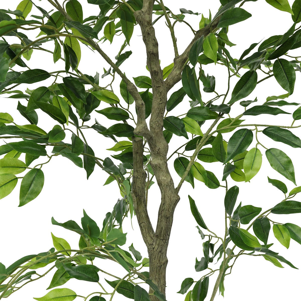 Faux 6.5' Ficus Tree