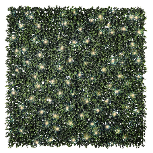 Golden Select American Boxwood Artificial Hedge Panel with Lights
