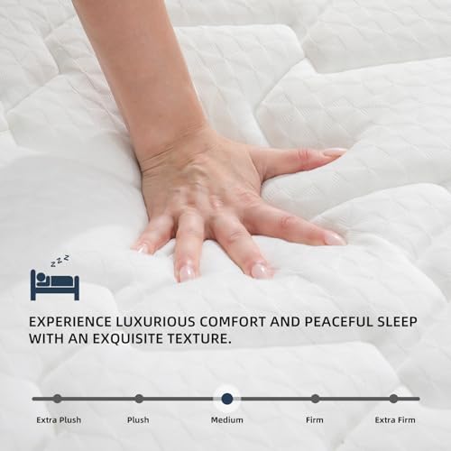 MOLBIUS 10" FULL Hybrid Mattress in a Box | Medium-Firm Memory Foam & Pocket Springs | Fiberglass Free, CertiPUR-US