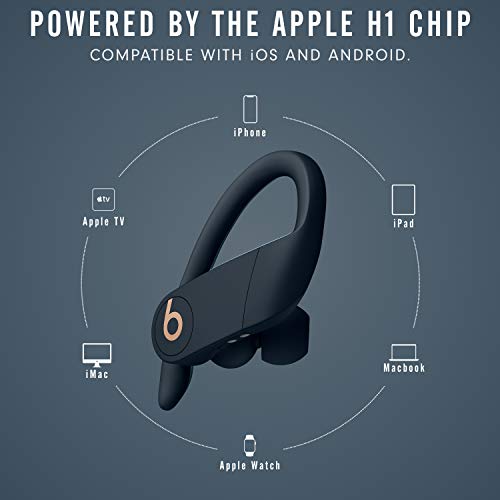 Beats Powerbeats Pro Wireless Earbuds, Color: Navy