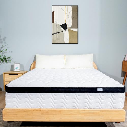 MOLBIUS 10" FULL Hybrid Mattress in a Box | Medium-Firm Memory Foam & Pocket Springs | Fiberglass Free, CertiPUR-US