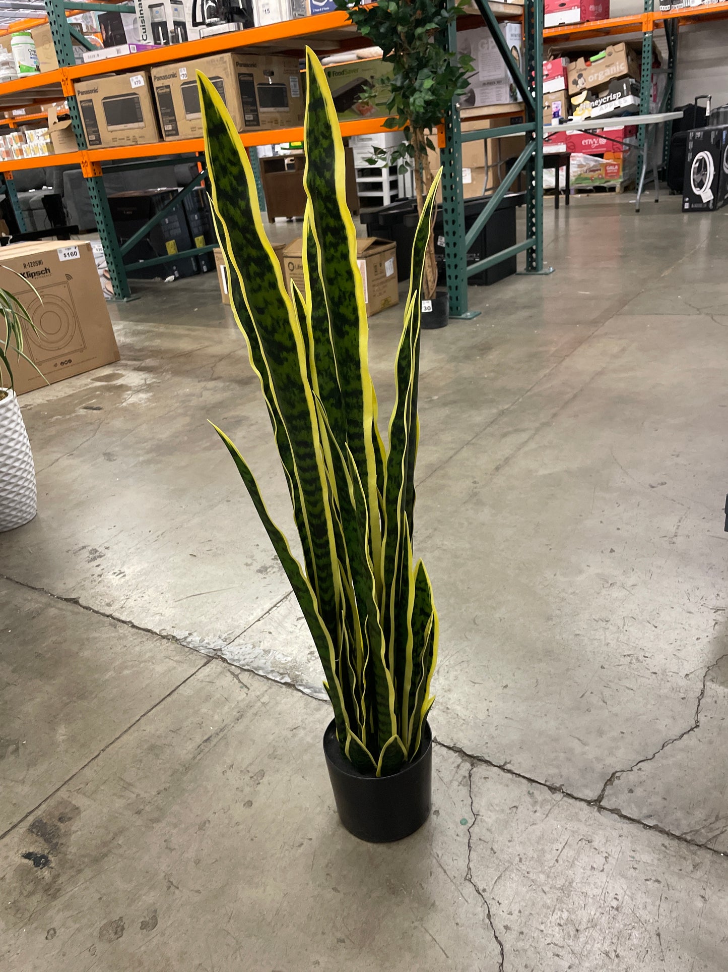 3.15 Ft Tall Artificial Snake Plant Faux Sansevieria Plant Large Fake Snake Bulk in Pot for Home Office Housewarming Gift - Retail $164