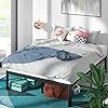 NEW - ZINUS QUEEN 16 Inch Metal Platform Bed Frame / Steel Slat Support - Retail $104