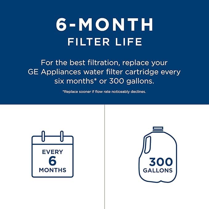 GE RPWFE Refrigerator Water Filter, Genuine Replacement Filter, Certified to Reduce Lead, Sulfur, and 50+ Other Impurities, Replace Every 6 Months for Best Results, Pack of 1