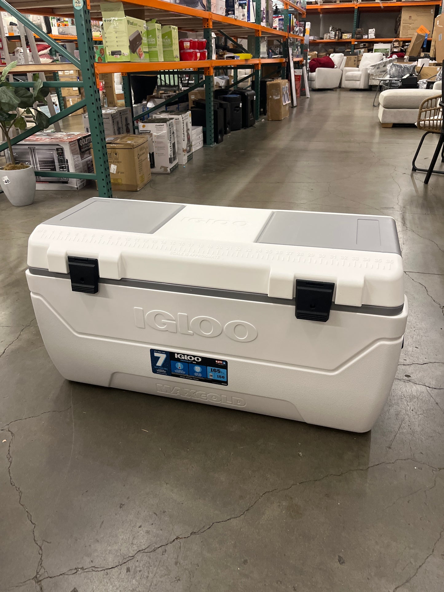 Igloo 165-quart Maxcold Chest Cooler with Butterfly Quick Access Hatch