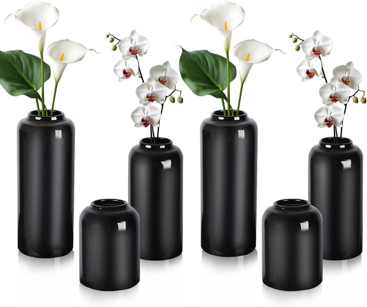Black Small Flower Vase Set of 6, Glass Bud Vases in Bulk, Decor Centerpiece for Bathroom, Decorative Vases for House Warming, Valentines' Day, Mother's Day, Thanksgiving Day(6 Black)