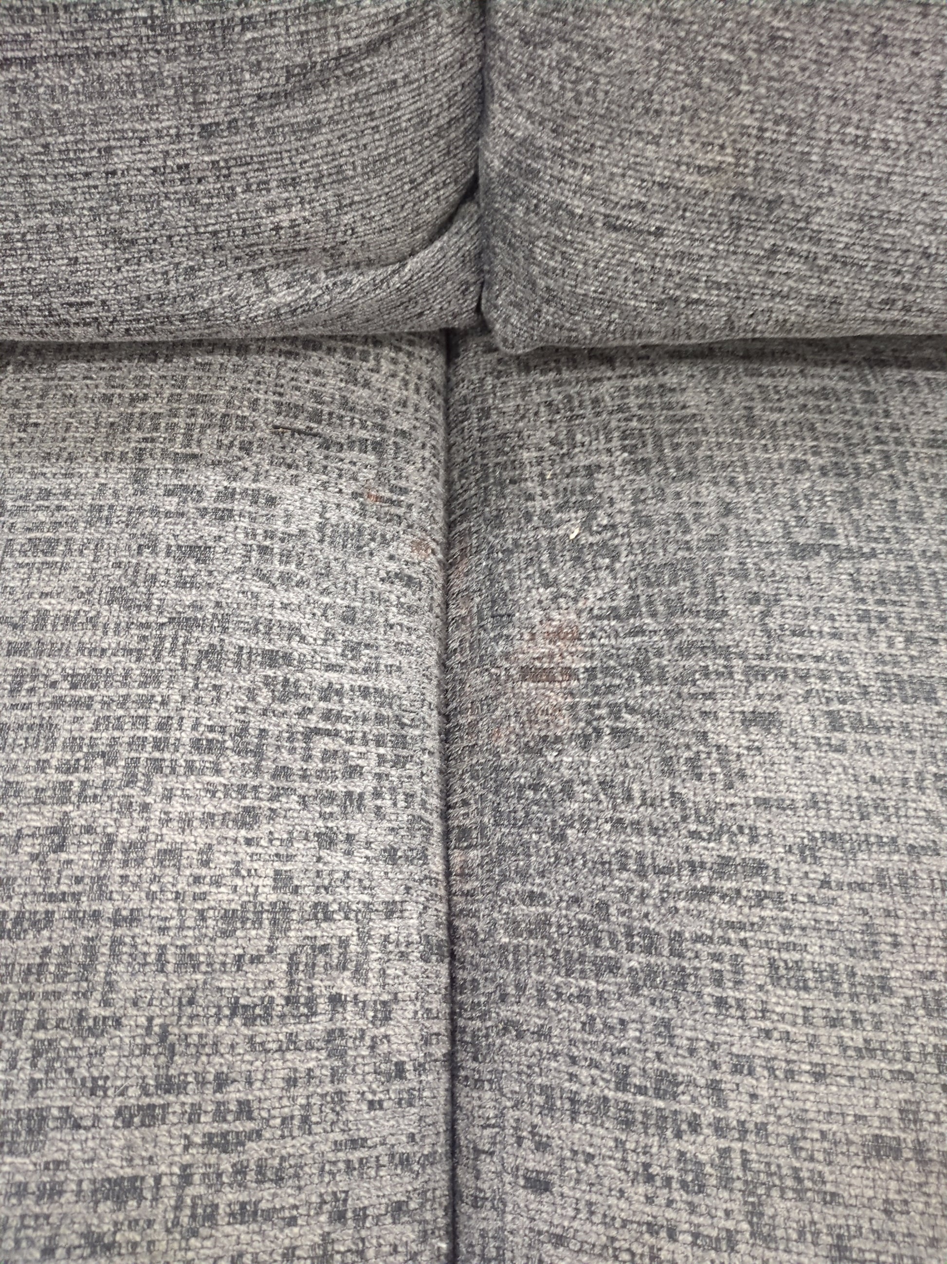 Coddle Aria Fabric Sleeper Sofa with Reversible Chaise - Retail $1999