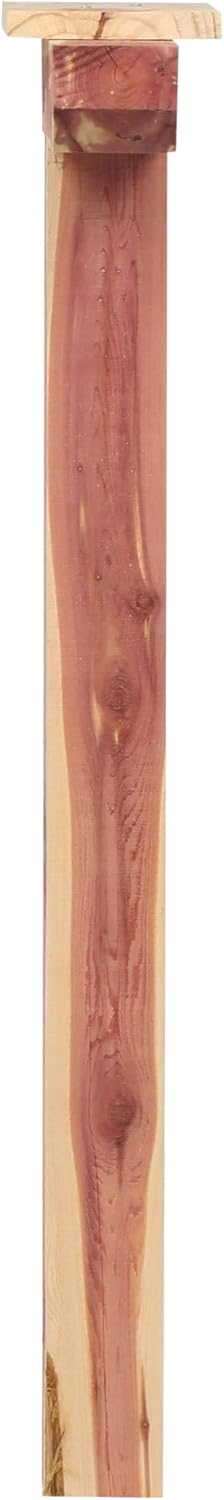 Architectural Mailboxes DPK000AM Drive-in Post, No Size, Aromatic Cedar