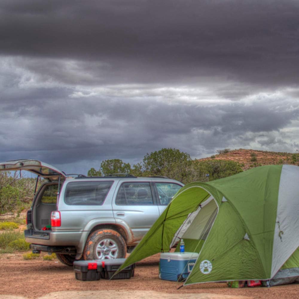 Rubbermaid 1172 ActionPacker Storage Box, 24 Gallon