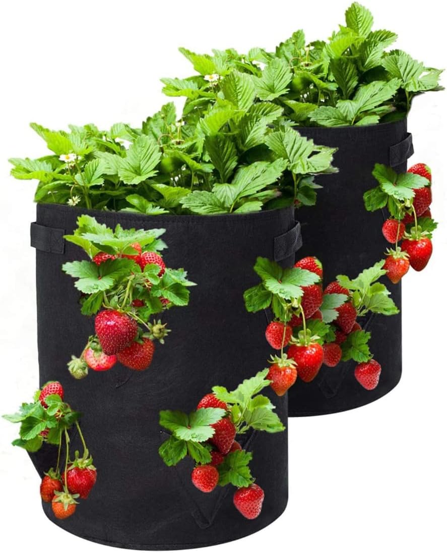 Strawberry Grow Bags, 2 Pack Strawberry Planter with Holes Grow Pockets