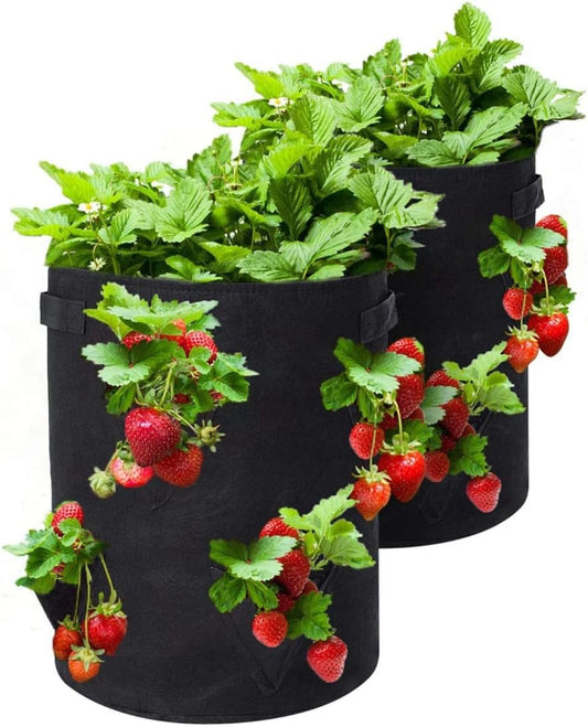 Strawberry Grow Bags, 2 Pack Strawberry Planter with Holes Grow Pockets