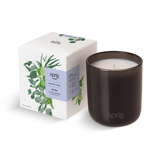 Sprig by Kohler Breathe Aromatherapy Candle with Eucalyptus and Mint, 100% Natural Soy-Coconut Wax, 8 oz
