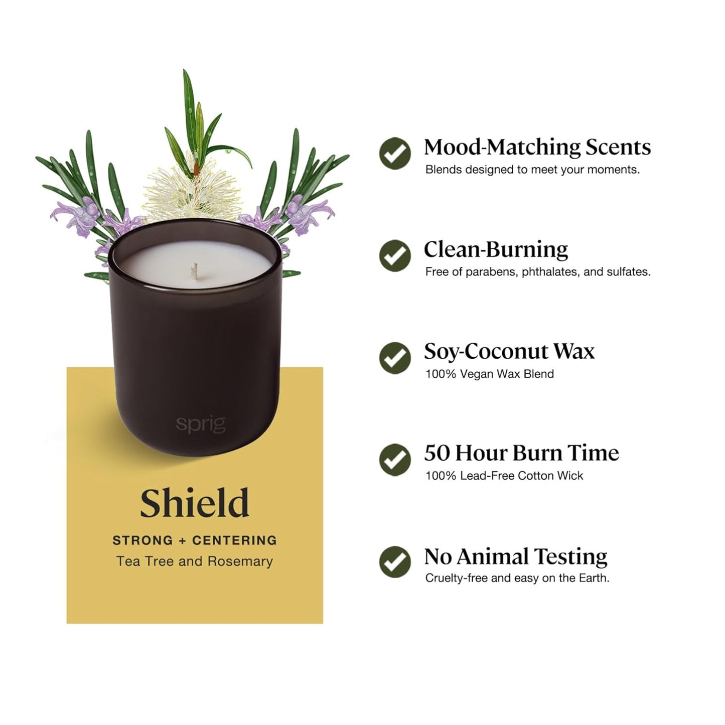 Sprig by Kohler Shield Aromatherapy Candle with Tea Tree and Rosemary, 100% Natural Soy-Coconut Wax, 8 oz