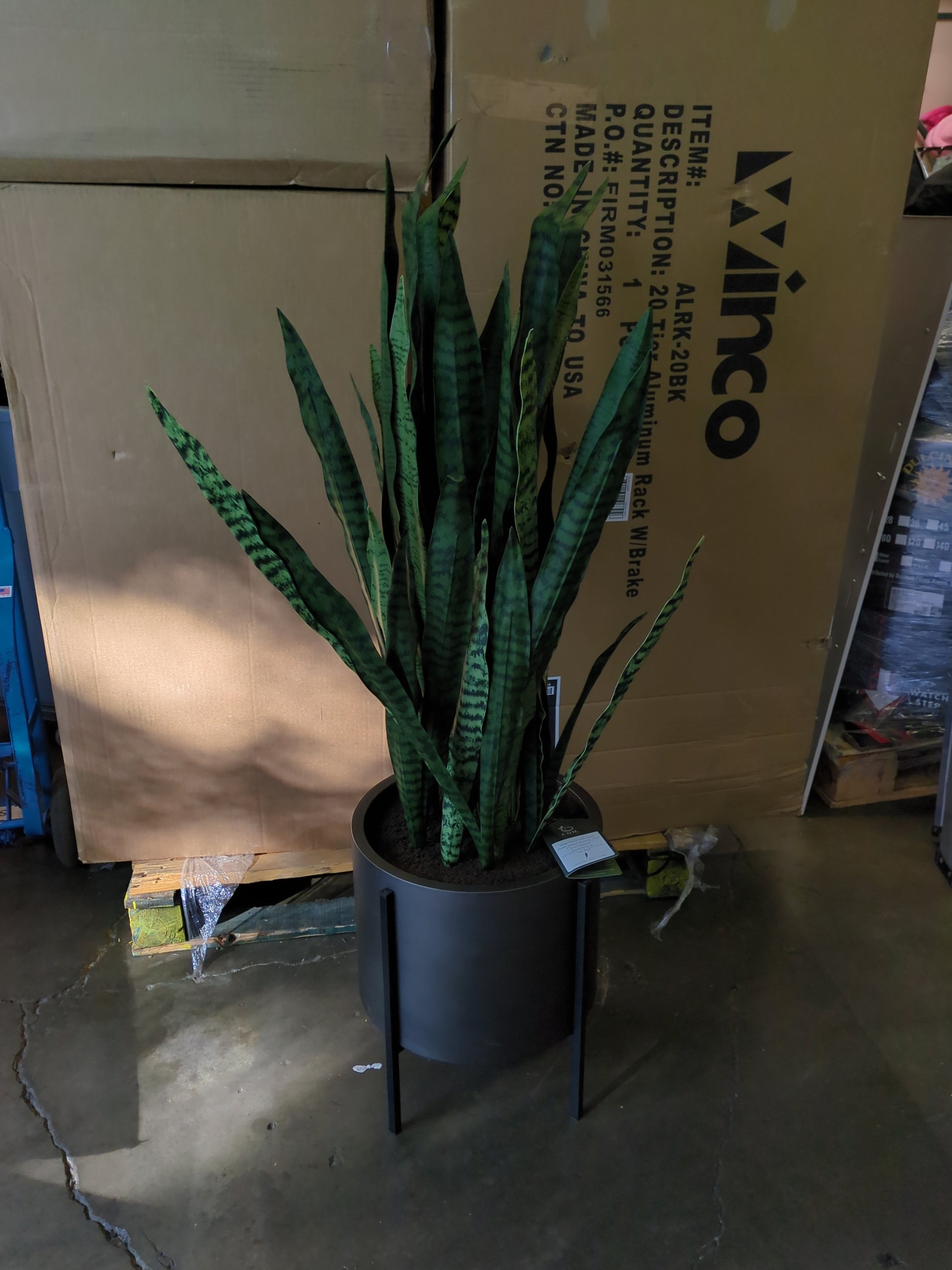faux snake plant with stand 53” Faux Snake Plant with Stand