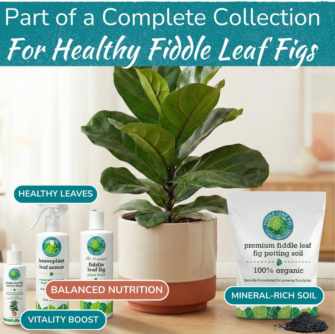 Fiddle Leaf Fig Plant Food – 3‑1‑2 Balanced NPK Liquid Fertilizer for Larger Leaves, Stronger Roots & Steady, Vibrant Growth | Suitable for All Ficus Including Ficus Lyrata | Made in USA | 8 oz