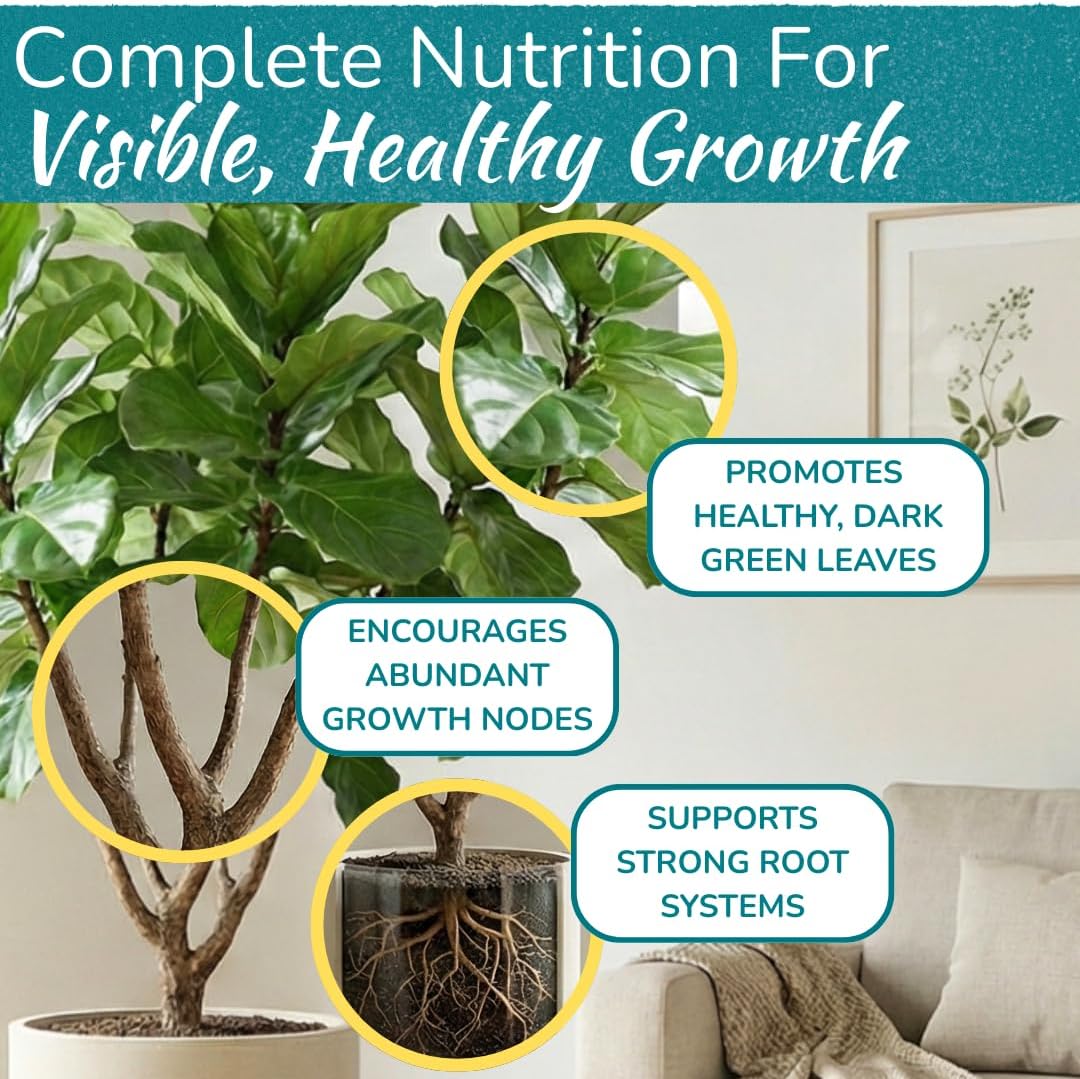 Fiddle Leaf Fig Plant Food – 3‑1‑2 Balanced NPK Liquid Fertilizer for Larger Leaves, Stronger Roots & Steady, Vibrant Growth | Suitable for All Ficus Including Ficus Lyrata | Made in USA | 8 oz