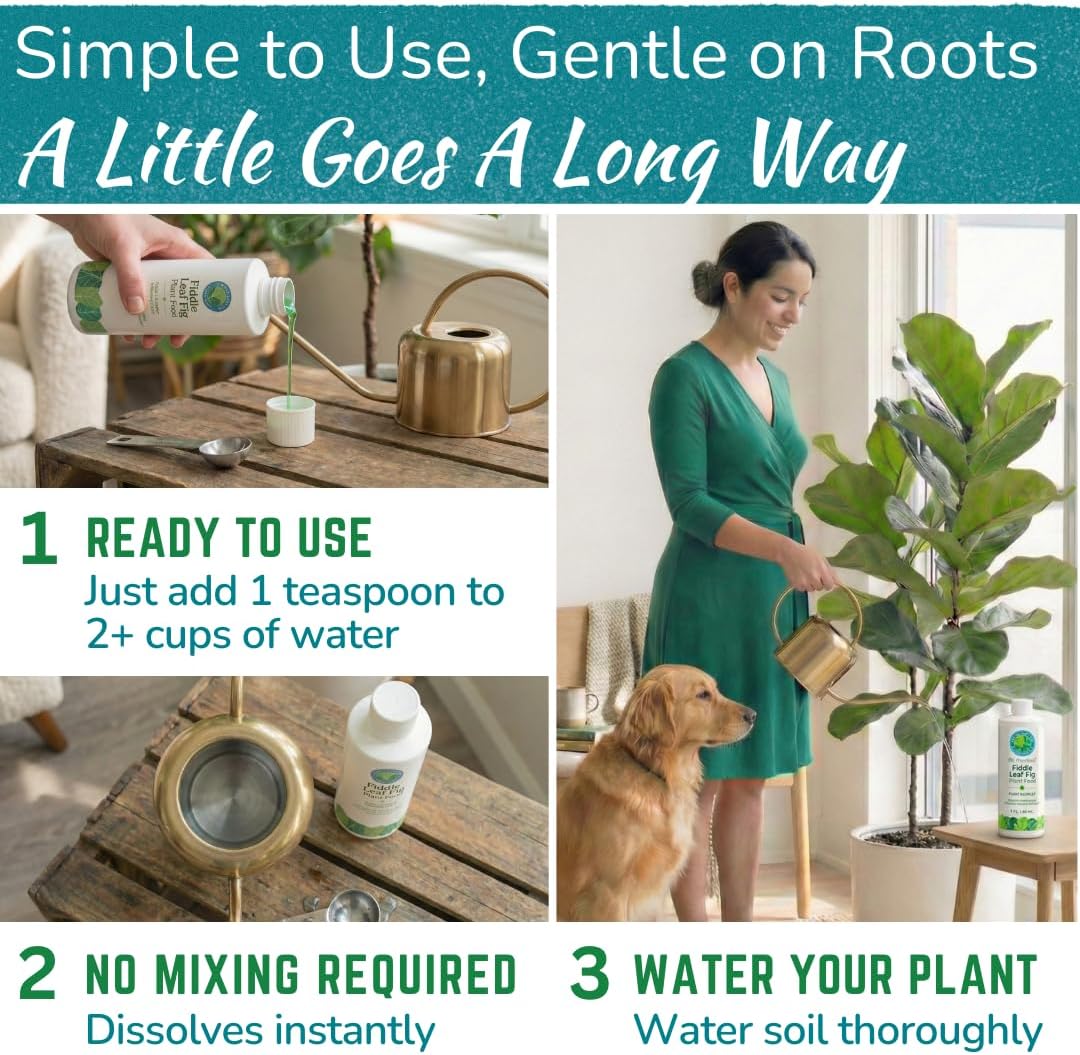 Fiddle Leaf Fig Plant Food – 3‑1‑2 Balanced NPK Liquid Fertilizer for Larger Leaves, Stronger Roots & Steady, Vibrant Growth | Suitable for All Ficus Including Ficus Lyrata | Made in USA | 8 oz