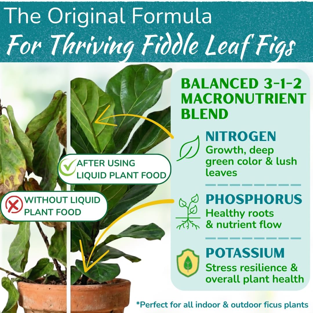 Fiddle Leaf Fig Plant Food – 3‑1‑2 Balanced NPK Liquid Fertilizer for Larger Leaves, Stronger Roots & Steady, Vibrant Growth | Suitable for All Ficus Including Ficus Lyrata | Made in USA | 8 oz