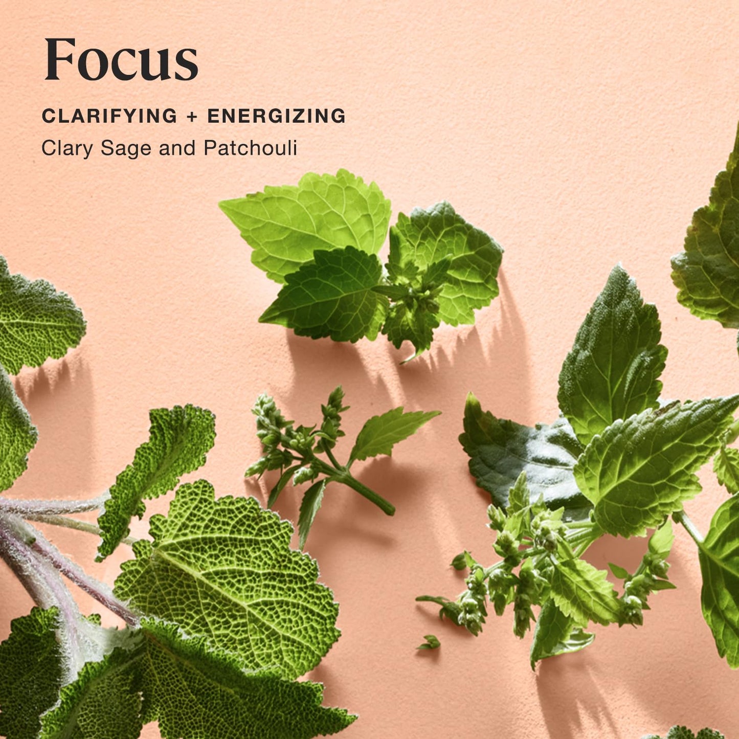 Sprig by Kohler Clary Sage + Patchouli Bath Bomb - Focus - Retail $10