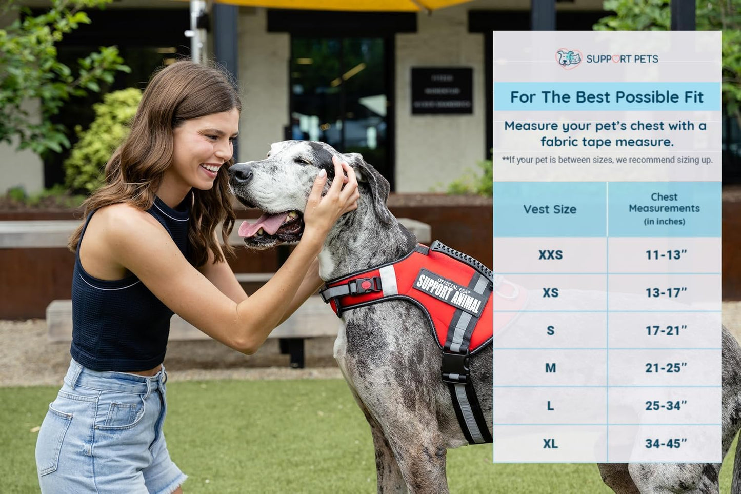 Support Pets Dog Harness: The Only Official ESA™ Vest for Easy Pet Recognition, Walk and Train All Dog Sizes, The Official PSD Highly Visible Harness, Adjustable, Soft and Padded (Large)