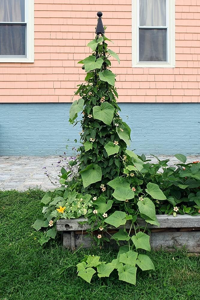 NEW - Achla Designs OBL-02A Garden Obelisk, 85" H Trellis, Graphite - Retail $133