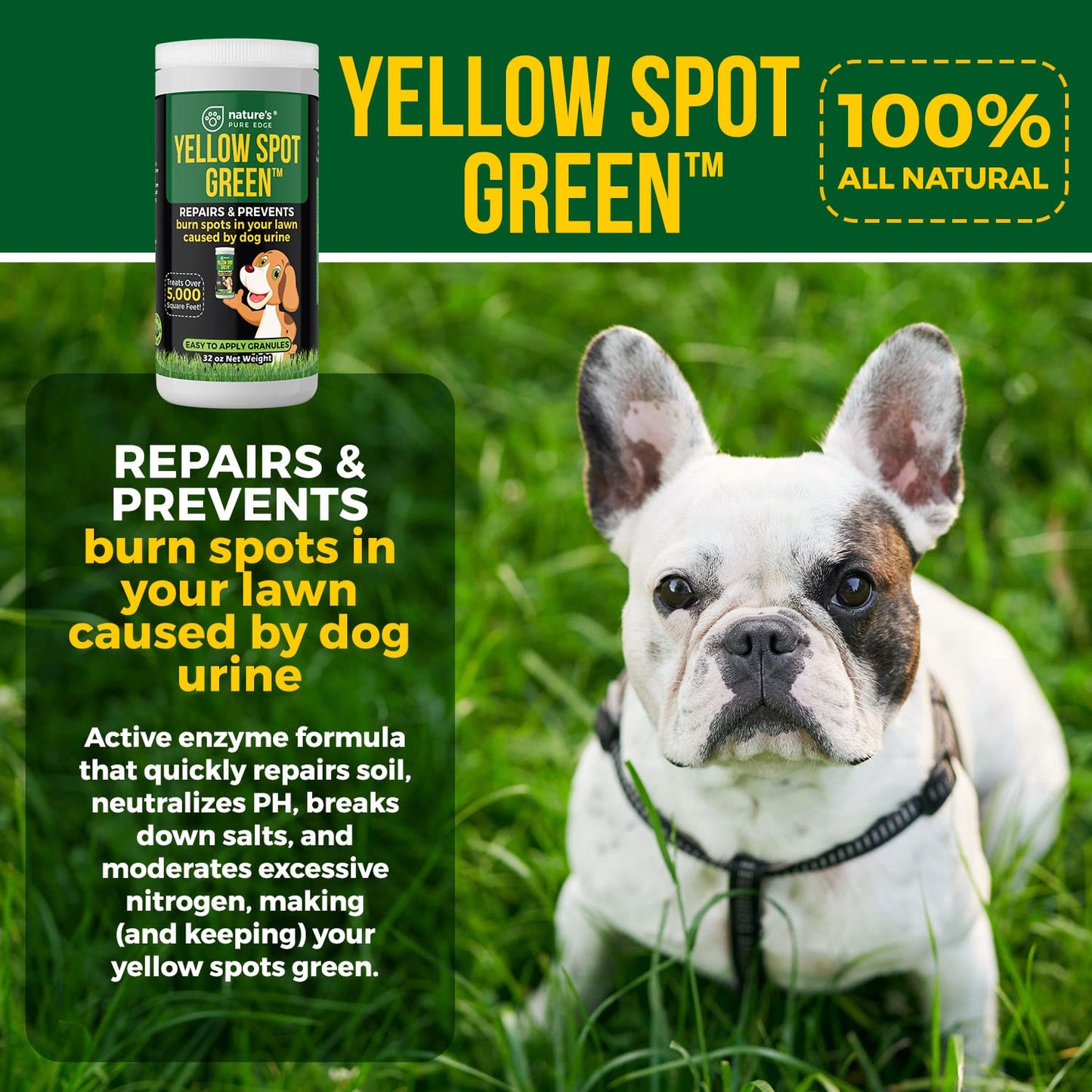 Yellow Spot Green™ Cures Urine Burns and Prevents Yellow Spots in Your Yard. Dog Urine Neutralizer for Lawns. Repair and Protect Grass from Dog Pee. Easy to Use Granules. Large 32 Ounce.