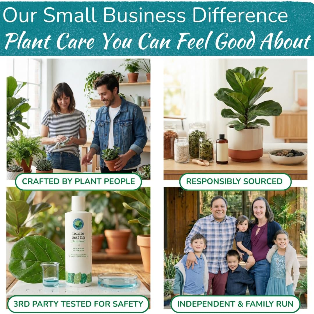 Fiddle Leaf Fig Plant Food – 3‑1‑2 Balanced NPK Liquid Fertilizer for Larger Leaves, Stronger Roots & Steady, Vibrant Growth | Suitable for All Ficus Including Ficus Lyrata | Made in USA | 8 oz
