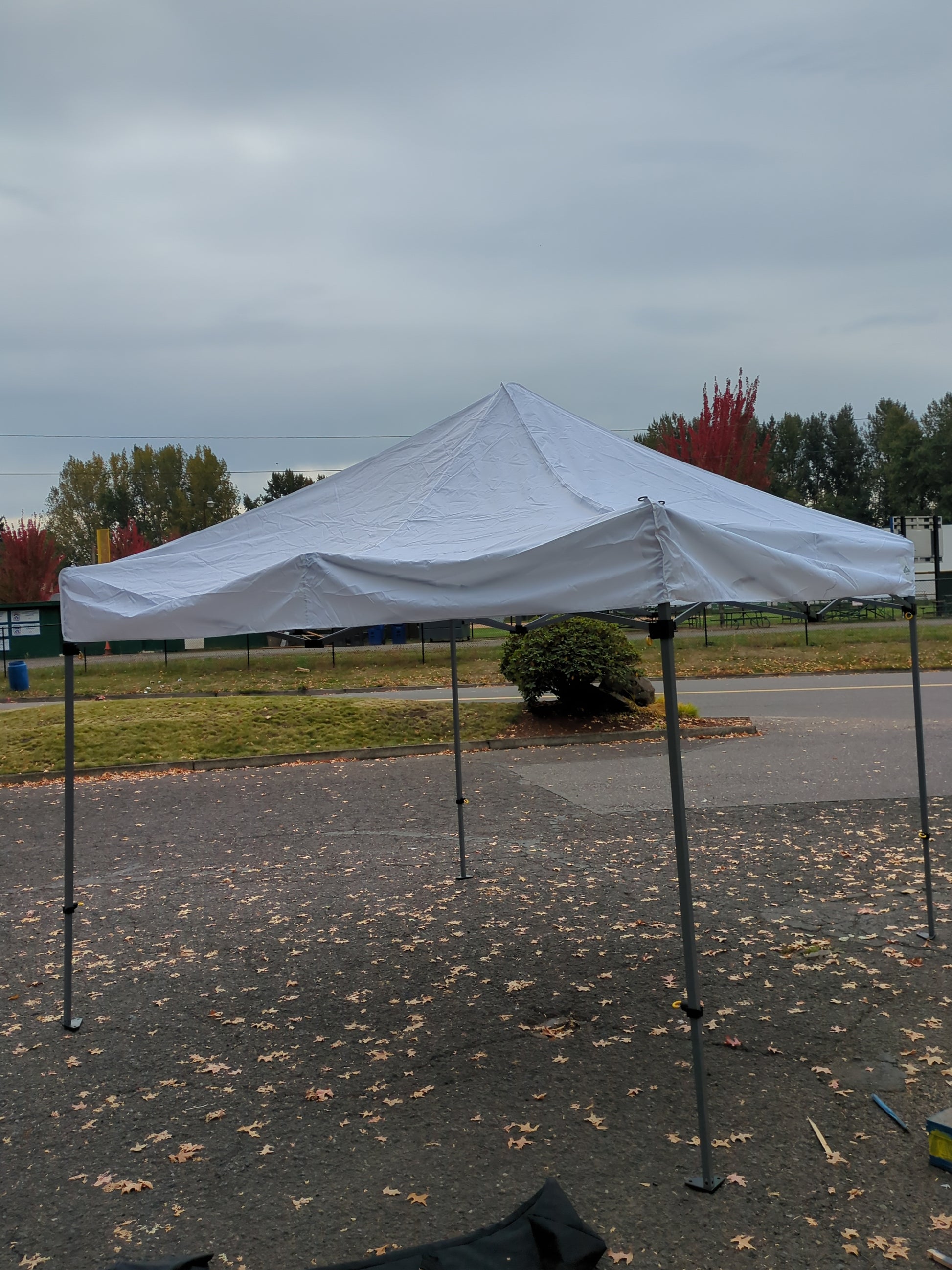 HYBRID-X CANOPY 10'X10' - Retail $159