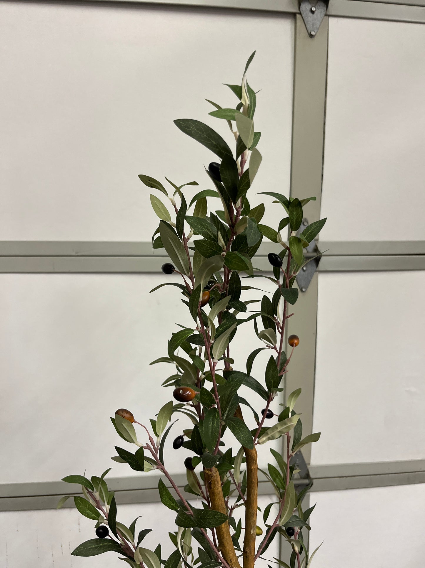 Nearly Natural 82â€ Olive Artificial Silk Trees Green - Retail $166