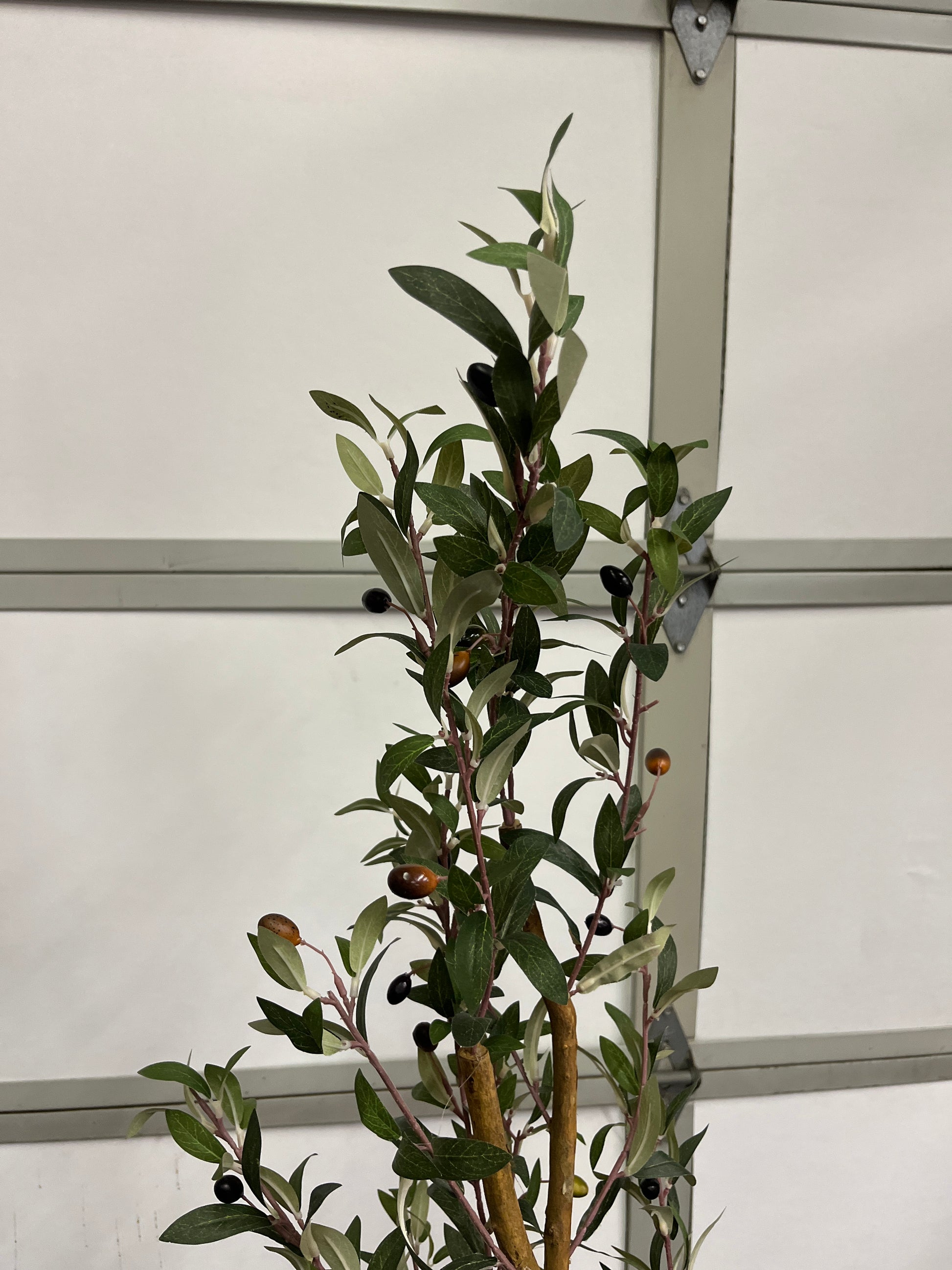 Nearly Natural 82â€ Olive Artificial Silk Trees Green - Retail $166