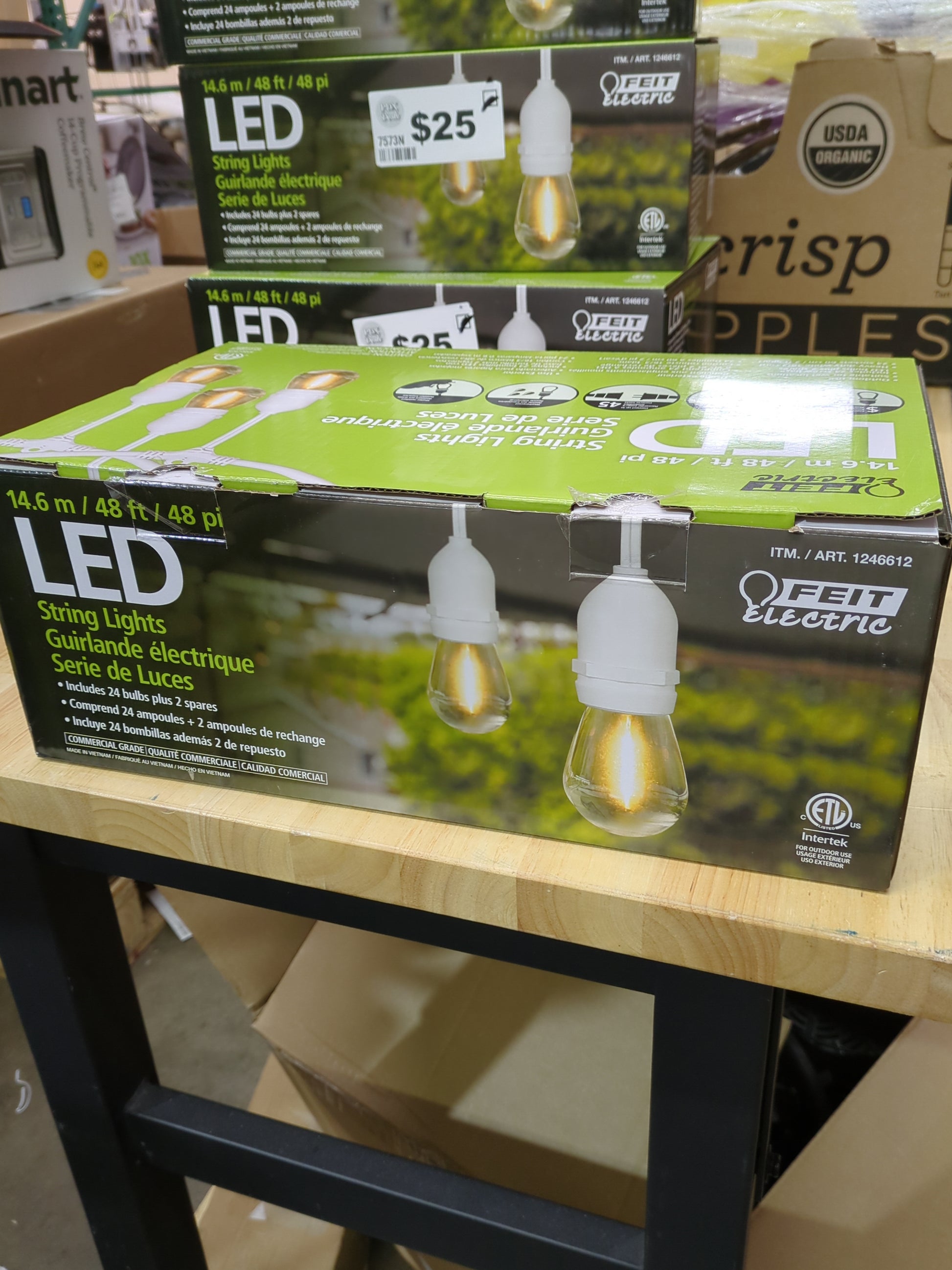 48FT WHITE LED FILAMENT - Retail $49