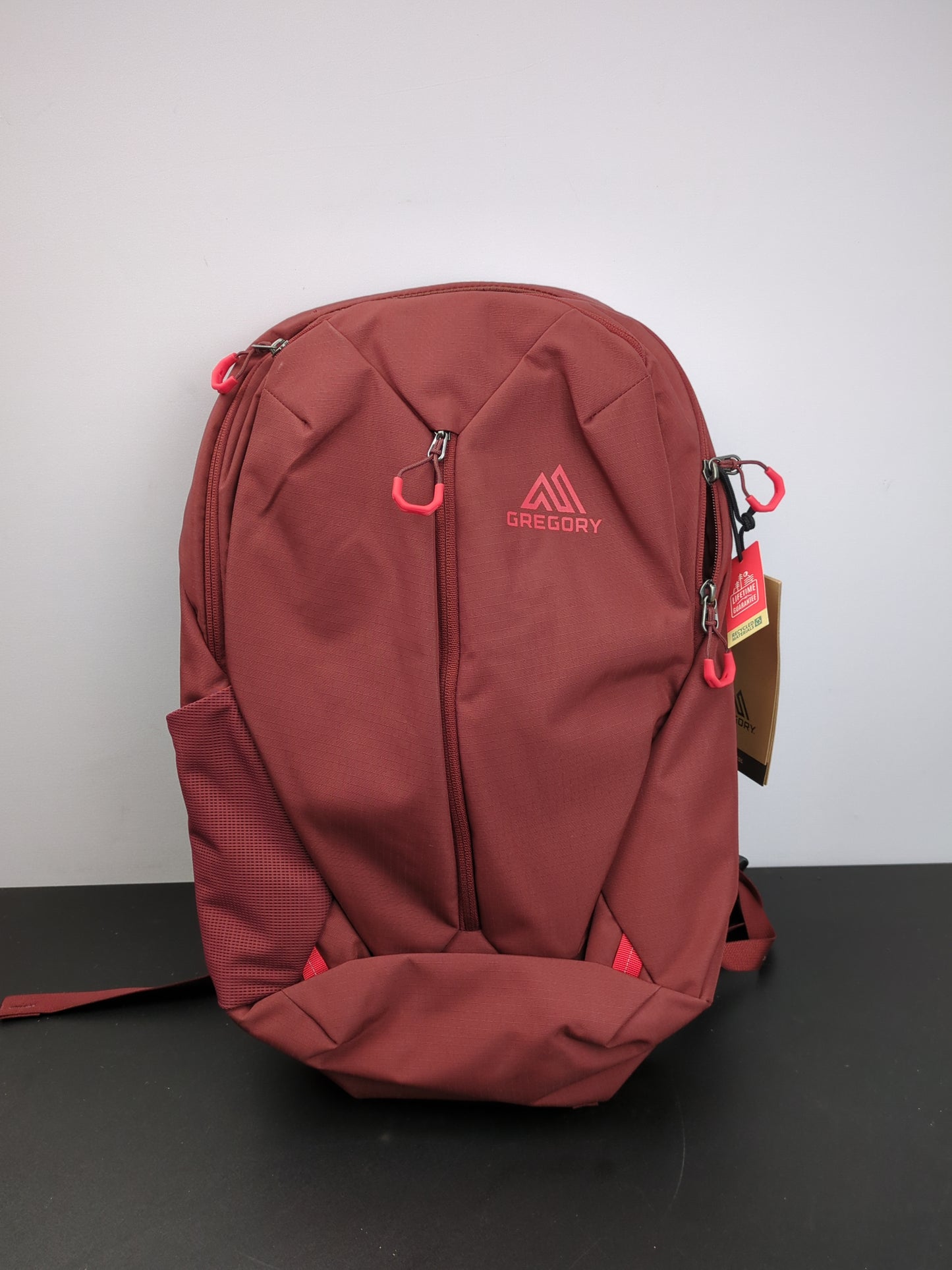 Gregory Mountain Products Rhune 20 Everyday Backpack - Retail $109