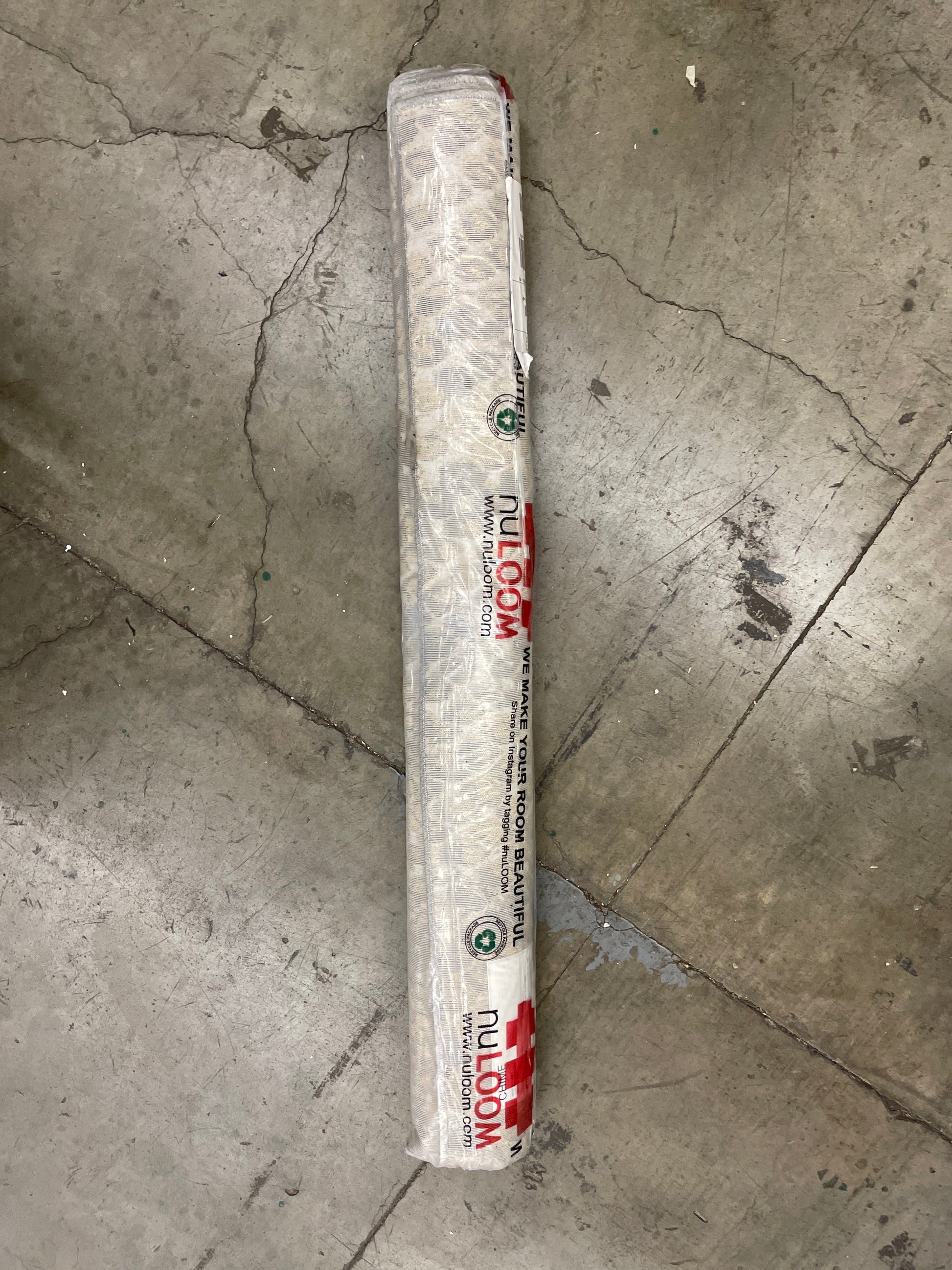 nuLOOM Alexandrine Modern Snake Print Area Rug, 4x6, Beige - Retail $33