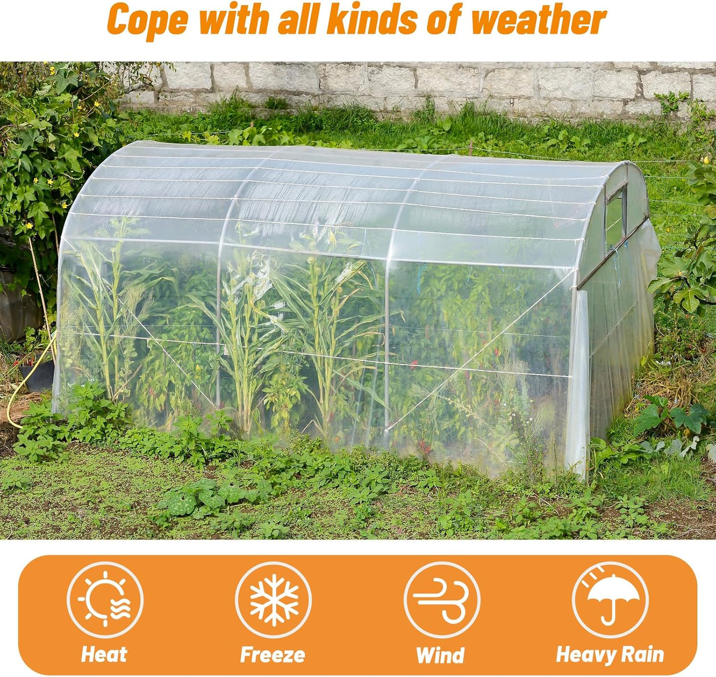 UNIFAMILY 6Mil Greenhouse Plastic Sheeting, Heavy Duty Greenhouse Covering Plastic, 9.8 x 6.5Ft Clear Green House Plastic Covering Film, Resistant Polyethylene Film for Farm Garden
