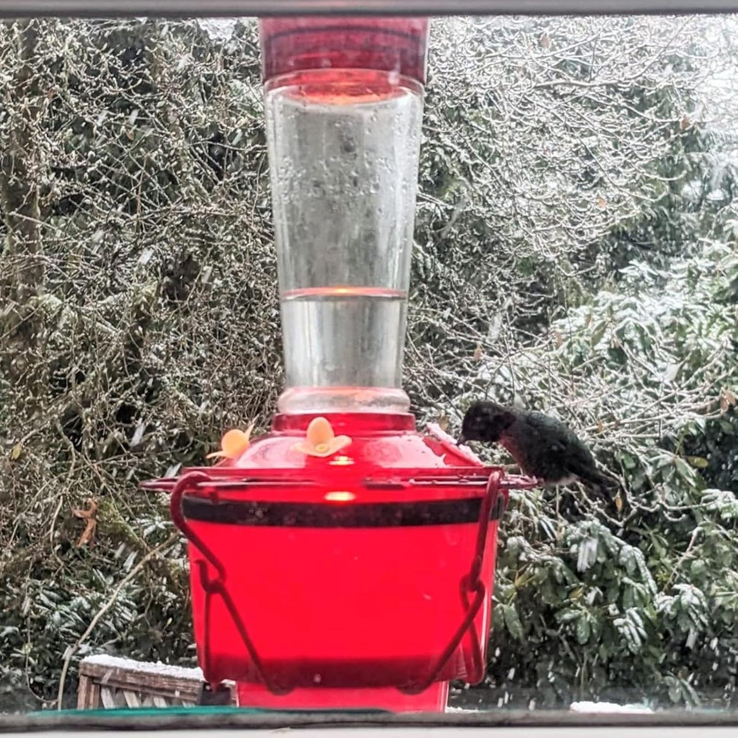 Hummingbird Feeder Heater for Outdoors, Bird Feeder Heater Backyard Hearth Hummingbird Feeder Heater Attaches to The Bottom of an Existing Feeder