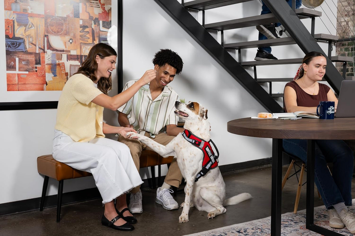 Support Pets Dog Harness: The Only Official ESA™ Vest for Easy Pet Recognition, Walk and Train All Dog Sizes, The Official PSD Highly Visible Harness, Adjustable, Soft and Padded (Large)