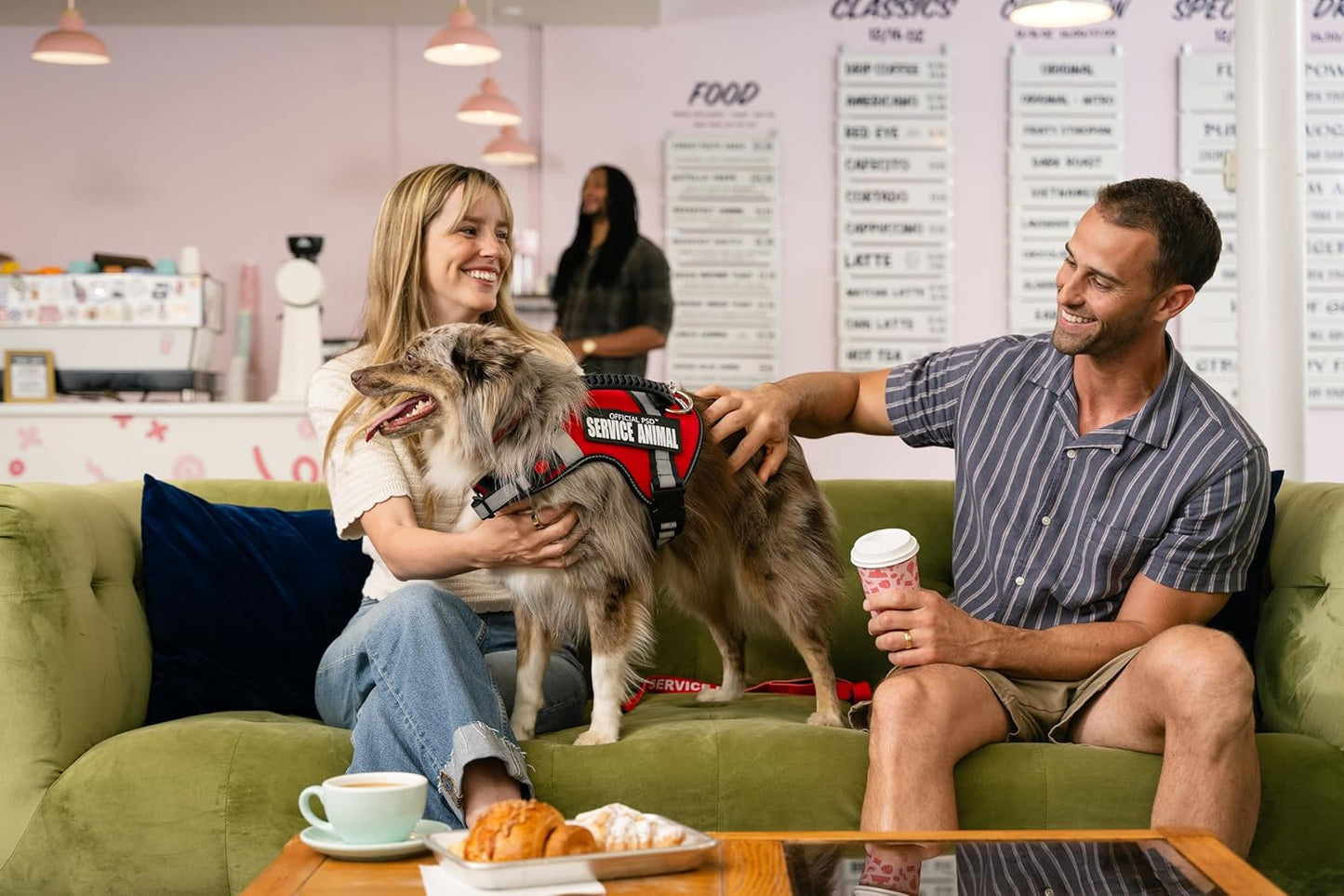 Support Pets Dog Harness: The Only Official ESA™ Vest for Easy Pet Recognition, Walk and Train All Dog Sizes, The Official PSD Highly Visible Harness, Adjustable, Soft and Padded (Large)