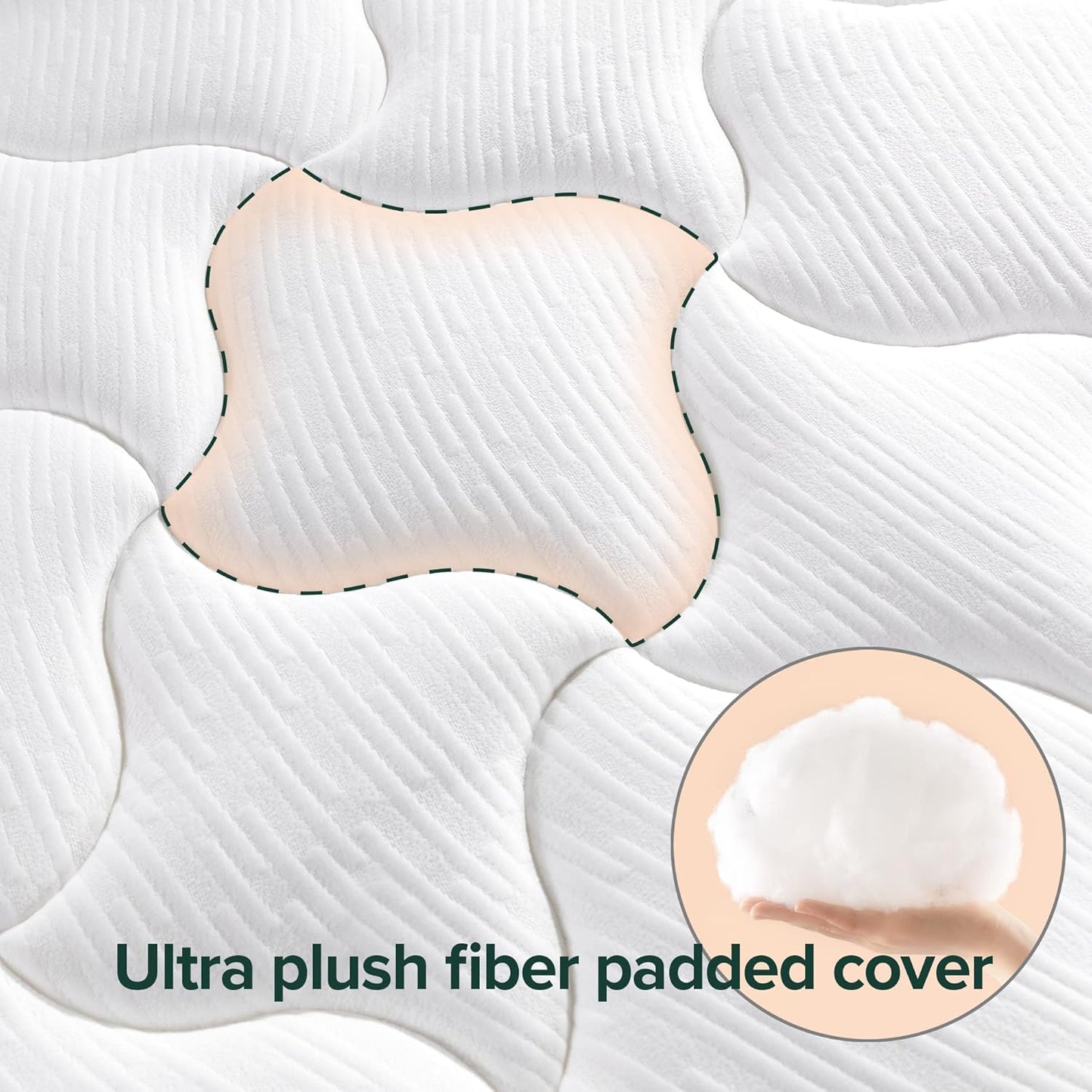 NEW - ZINUS 12 Inch FULL Cloud Memory Foam Mattress, Fiberglass Free, Pressure Relieving