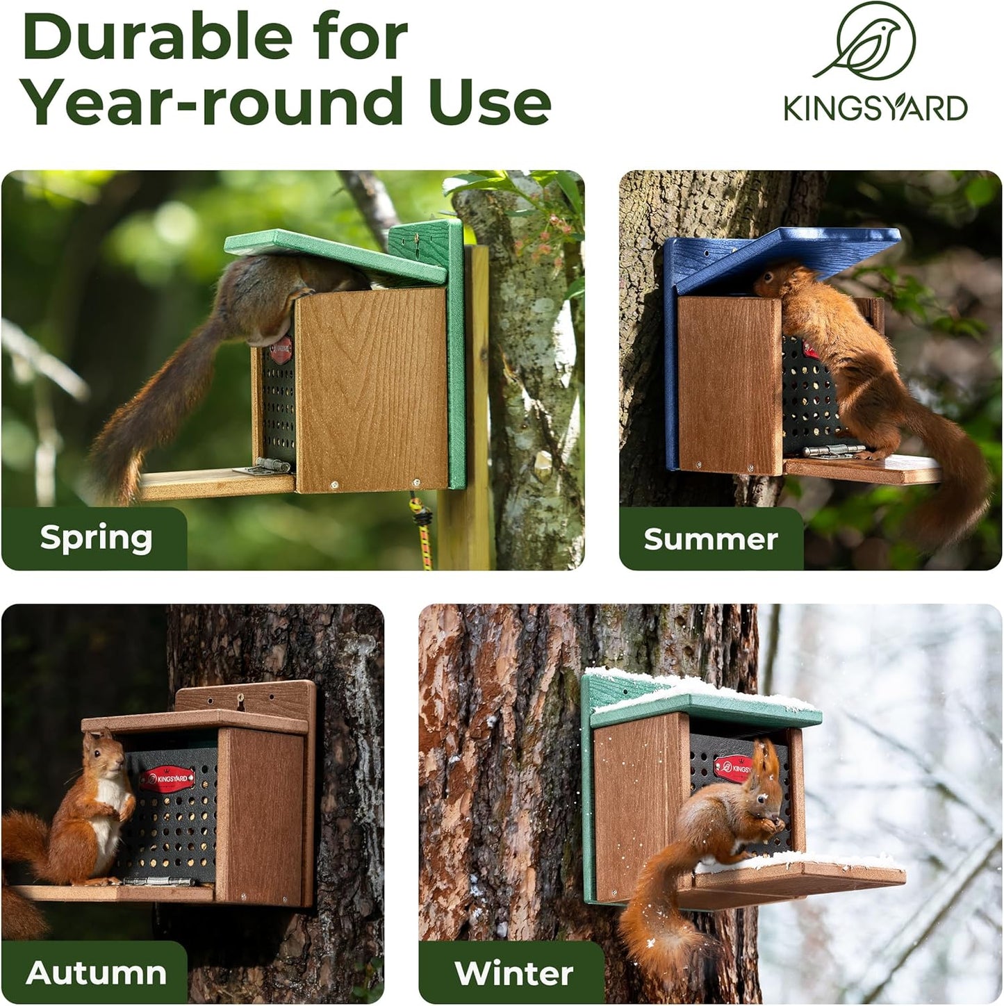 Kingsyard Squirrel Feeder Box for Outside, Recycled Plastic Squirrel Feeder with Removable Metal Front Panel & Perch, Easy to Fill & Clean, Weather-Proof Roof (Green)