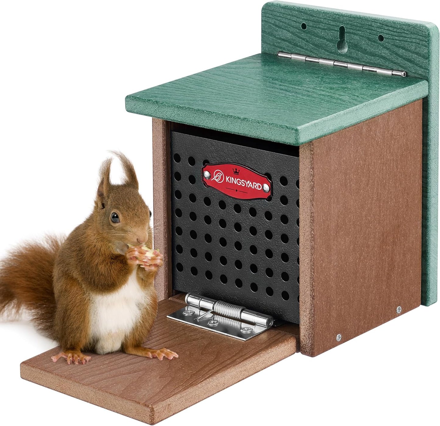 Kingsyard Squirrel Feeder Box for Outside, Recycled Plastic Squirrel Feeder with Removable Metal Front Panel & Perch, Easy to Fill & Clean, Weather-Proof Roof (Green)