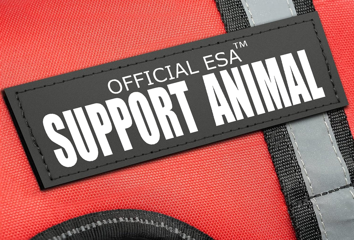 Support Pets Dog Harness: The Only Official ESA™ Vest for Easy Pet Recognition, Walk and Train All Dog Sizes, The Official PSD Highly Visible Harness, Adjustable, Soft and Padded (Large)