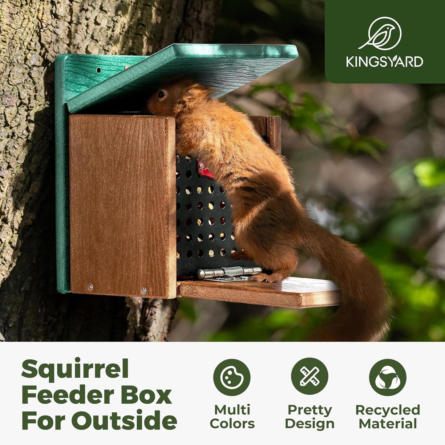 Kingsyard Squirrel Feeder Box for Outside, Recycled Plastic Squirrel Feeder with Removable Metal Front Panel & Perch, Easy to Fill & Clean, Weather-Proof Roof (Green)