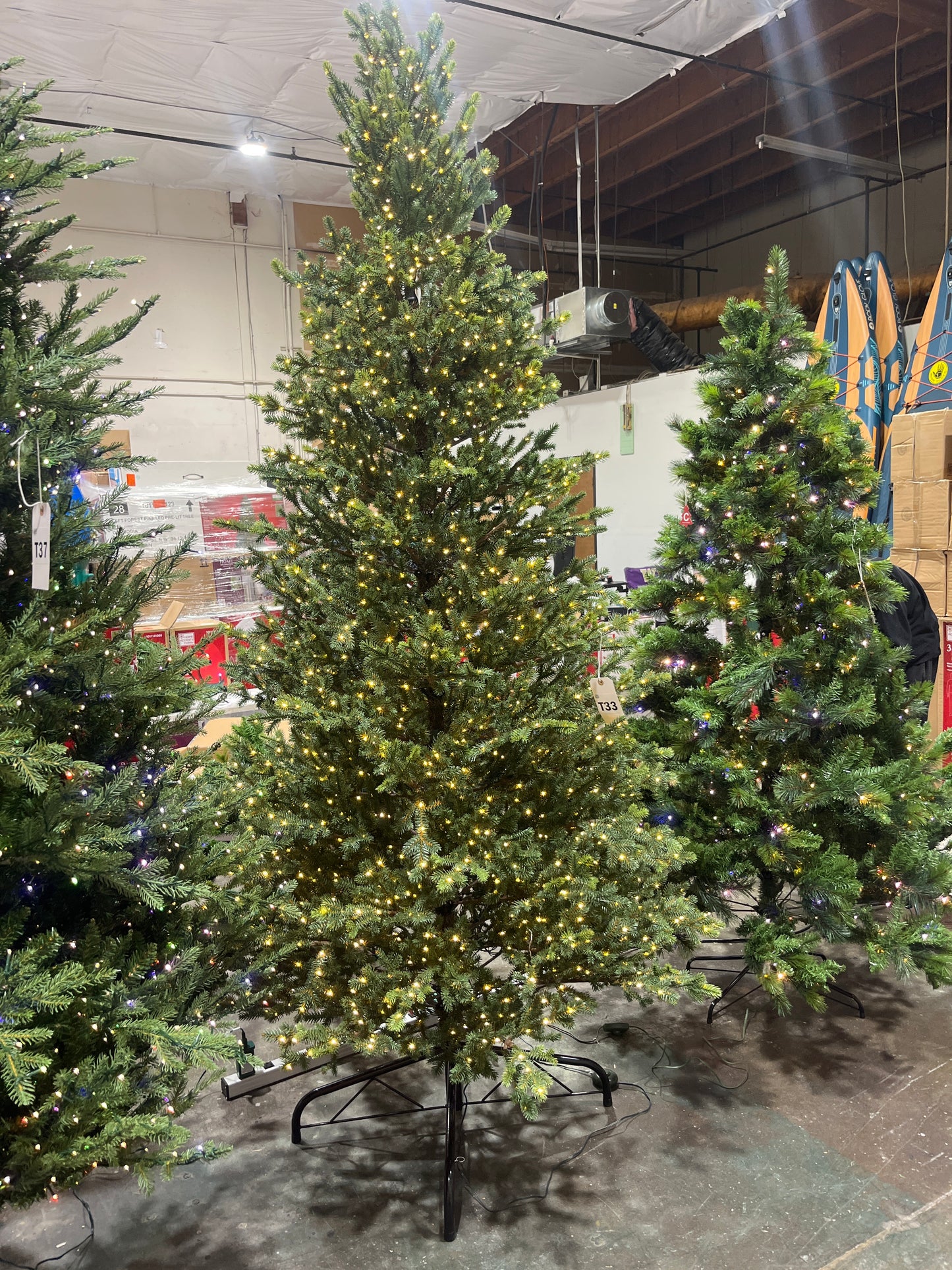 Home Decorators Collection 9 ft. Elegant Twinkling Grand Fir LED Pre-Lit Artificial Christmas Tree with Timer T33