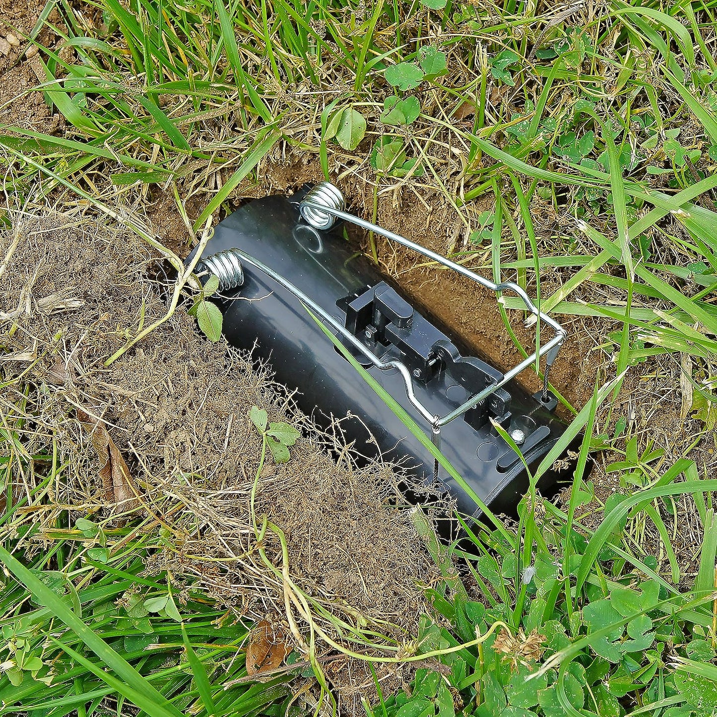 Gopher Trap Black Hole – Pocket Gopher & Yard Mole Tunnel Trap – Easy-Set Reusable Design – Non-Toxic, Spring-Loaded Rodent Eliminator